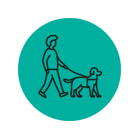 Travelling with a guide or assistance animal